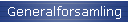 Generalforsamling