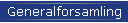 Generalforsamling