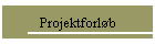 Projektforlb
