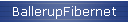 BallerupFibernet